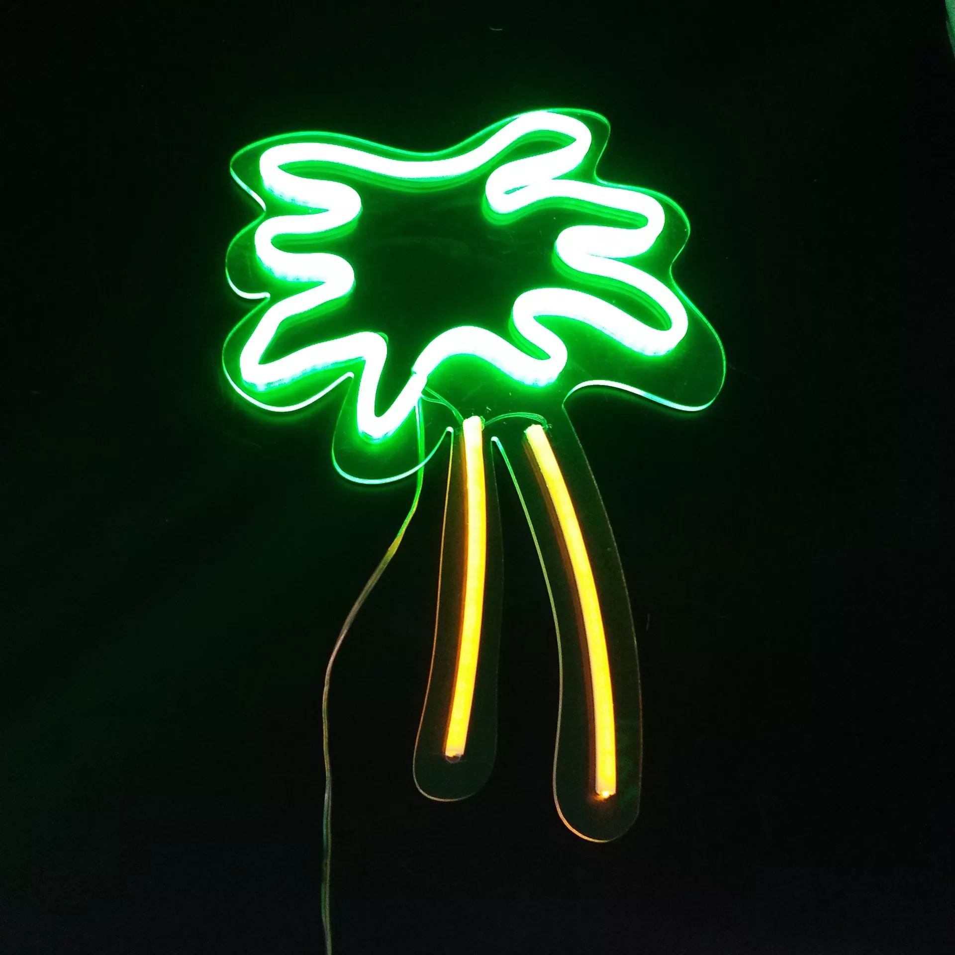 Decorative neon lights for the home